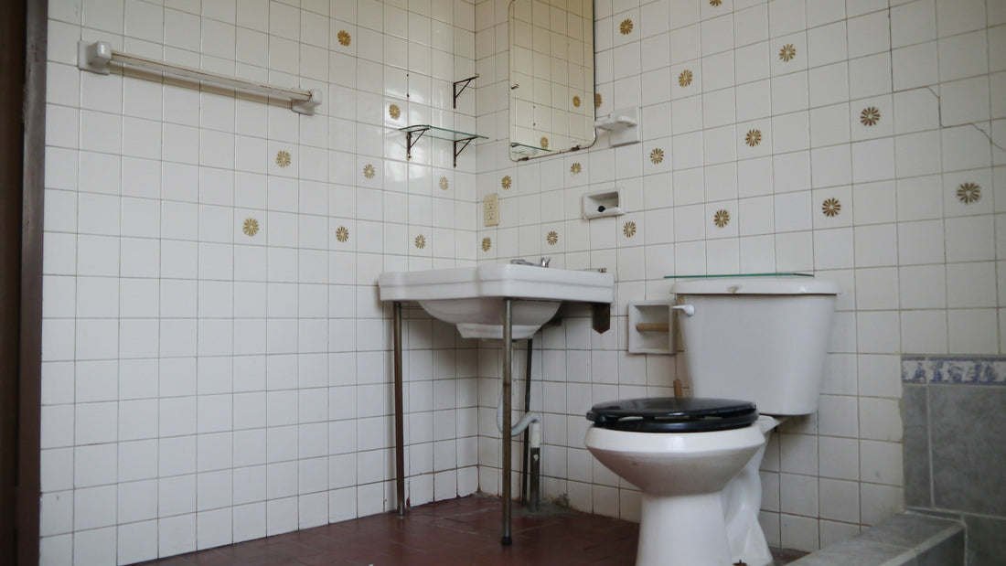 Toilet Troubles? Common Plumbing Fixes